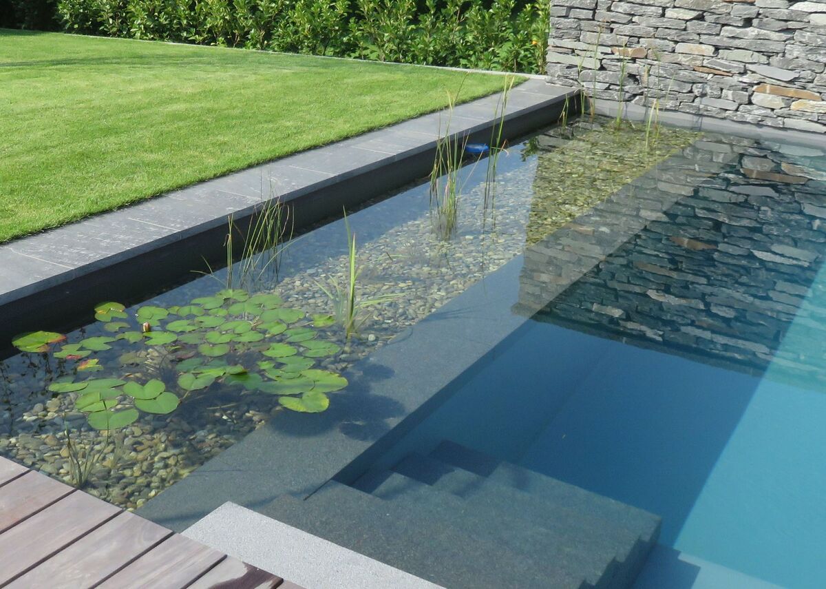 NATÜRLICH SCHWIMMEN. NATÜRLICH LEBEN.