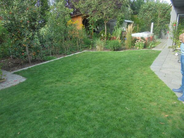 EIN BADEPARADIES ENTSTEHT - Galeriebild