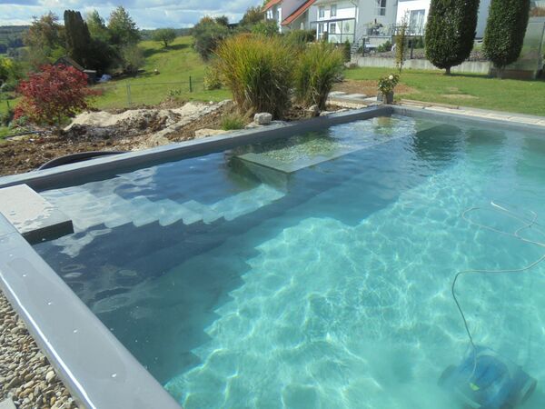 Schwimmteich und Naturpools Referenzbild