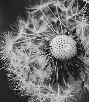 DU GEHST NICHT GERN ZUR ARBEIT?