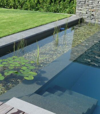 SCHWIMMTEICH & NATURPOOLS