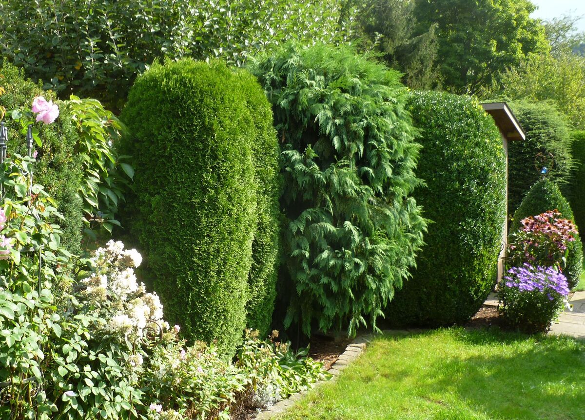 EIN GEPFLEGTER GARTEN ENTSTEHT DURCH LEIDENSCHAFT, ERFAHRUNG UND DIE RICHTIGEN HÄNDE.