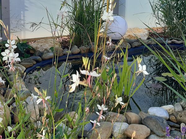 Wasser im Garten - Referenzbild